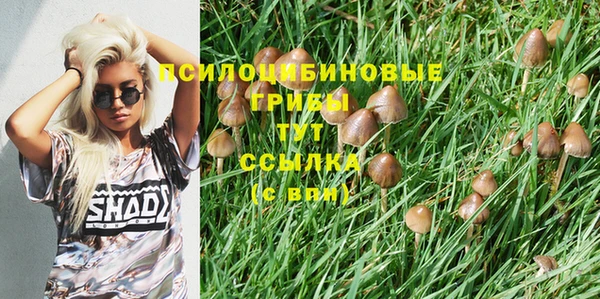 кокс Алексеевка