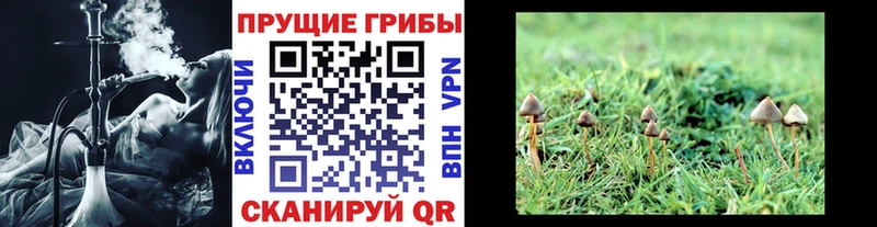 Псилоцибиновые грибы MAGIC MUSHROOMS ссылка на мегу сайт Белая Калитва